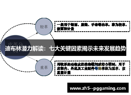迪布林潜力解读：七大关键因素揭示未来发展趋势